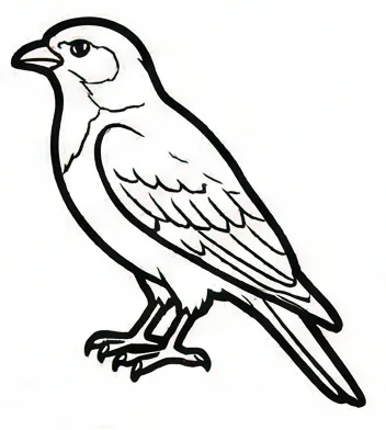 a bird with a black and white outline 1.webp